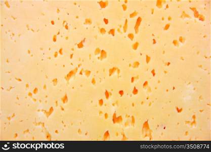 piece of cheese isolated on a white background
