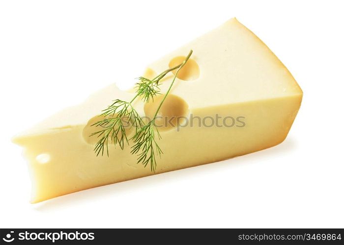 piece of cheese with a sprig of dill isolated on a white background