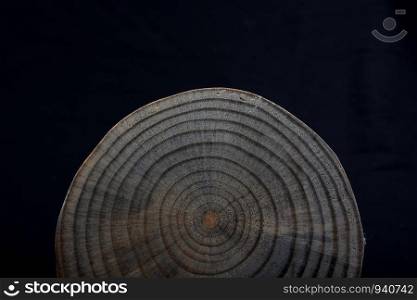 Piece of cut wood log texture as background
