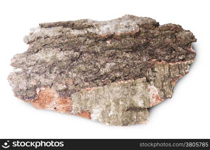 Piece Of Dried Bark Of Old Birch Tree Isolated On White Background
