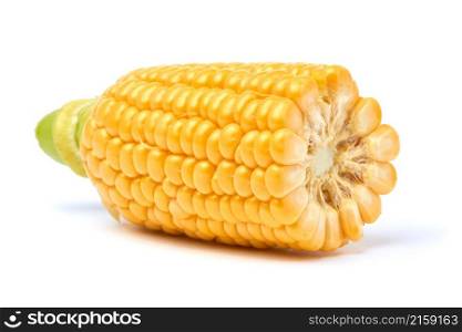 Piece of Fresh organic corn cob isolated on white background.. Piece of Fresh organic corn cob isolated on white background