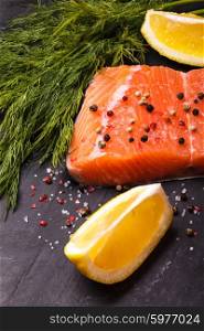 Piece of salmon with spices and lemon. Piece of salmon