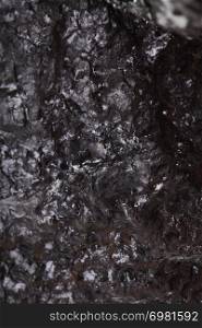 Pieces of black fossil coal texture background