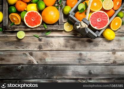Pieces of fresh citrus in the box. On wooden background. Pieces of fresh citrus in the box.
