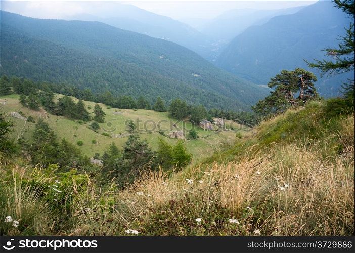 Piemonte natural reserve park ecotourism in summer vacation