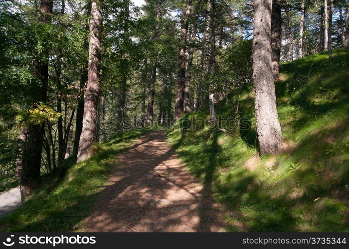 Piemonte natural reserve park ecotourism in summer vacation