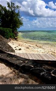 pier blue bay foam footstep indian ocean some stone in the island of deus cocos in mauritius