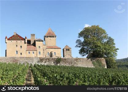 Pierreclos castle in Burgundy, France