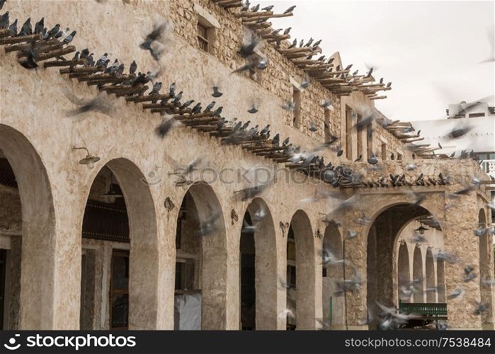 Pigeons at the entrance to The Souq Waqif, Doha, Qatar