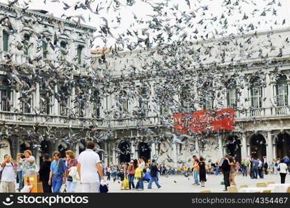 Pigeons flying in front of a building, St. Mark&acute;s Square, Venice, Italy