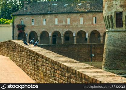 pigeons on fortified wall in Rocca Sanvitale Fontanellato Castle, 13th Century, Italy, Emilia-Romagna region, Parma