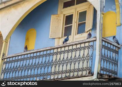Pigeons sit on the balcony of an old abandoned house in the historic center of the city of Nicosia, Cyprus