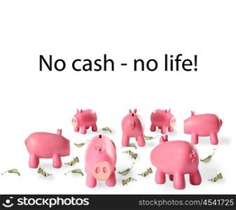 piggy bank and cash leaves - a symbol of investment in the future