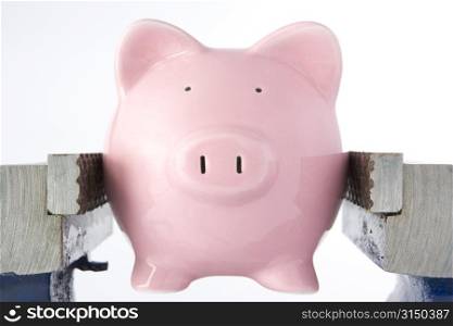 Piggy Bank In Jaws Of Vice Against White Background