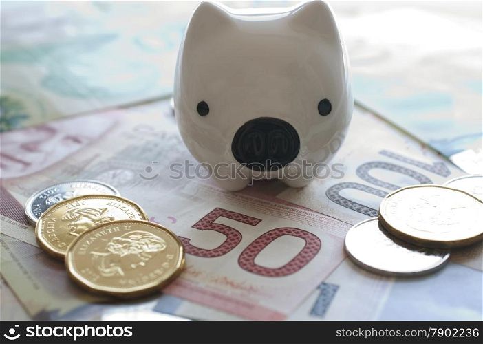 Piggy bank on Canadian money background