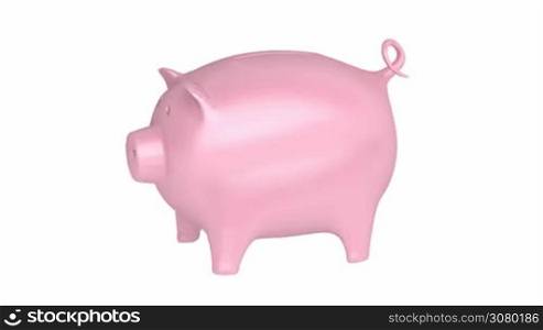 Piggy bank spins on white background