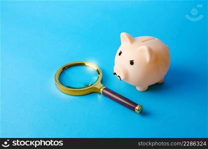 Piggy detective investigates money traffic. Money laundering investigation, audit and accounting. Suspicious transactions. Reduction of unnecessary expenses and leakage of funds. Financial security.