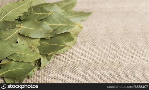 pile dry laurel leaves . Resolution and high quality beautiful photo. pile dry laurel leaves . High quality and resolution beautiful photo concept