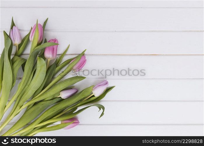 pile fresh pink tulips white