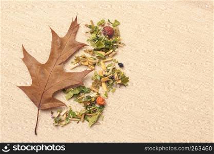 Pile of assorted natural medical dried herb leaves petals and fruits with autumnal oak leaf on burlap surface. Fall concept.. Dry herb leaves and autumn oak leaf