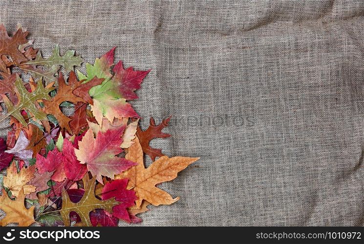Pile of Autumn leaves on burlap cloth