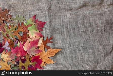 Pile of Autumn leaves on burlap cloth