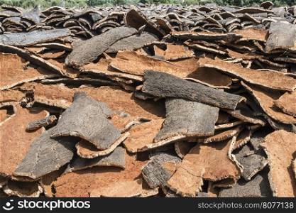 Pile of bark from cork tree