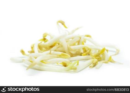 Pile of bean sprouts with white background