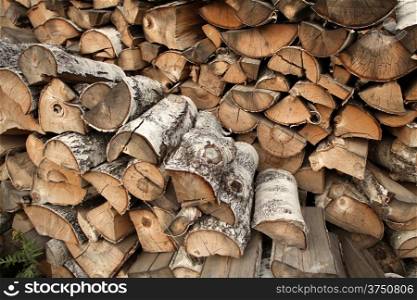 Pile of birch firewood