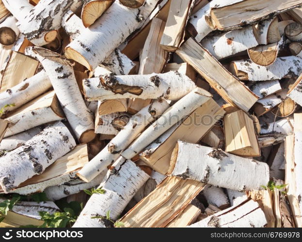 pile of birch firewood