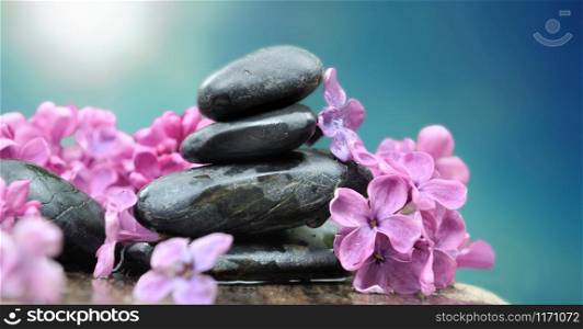 pile of black pebbles among pretty pink flowers on blue sky