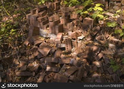 Pile of Bricks in Underbrush