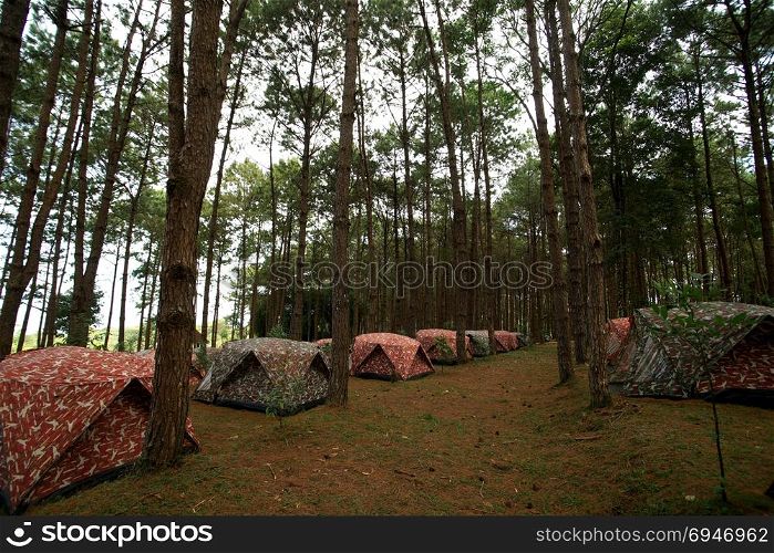 pile of camping tents at the outdoor camp site
