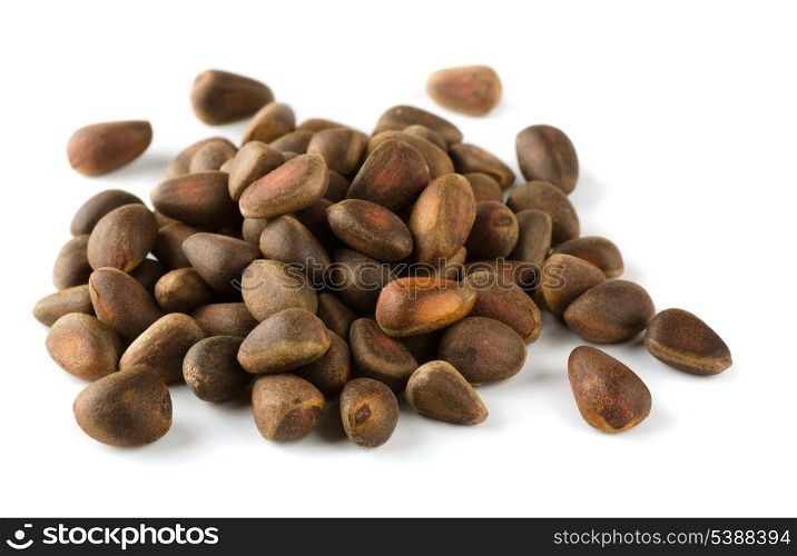 Pile of cedar nuts isolated on white