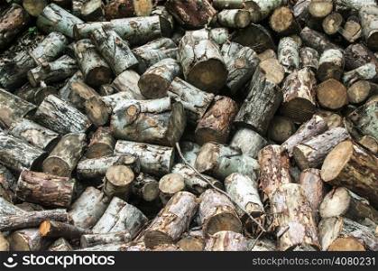 Pile of chopped beech and pine firewood