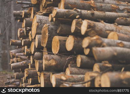 Pile of chopped tree trunks in winter forest