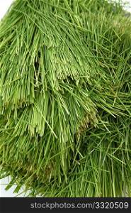 Pile of clean wheatgrass over white.