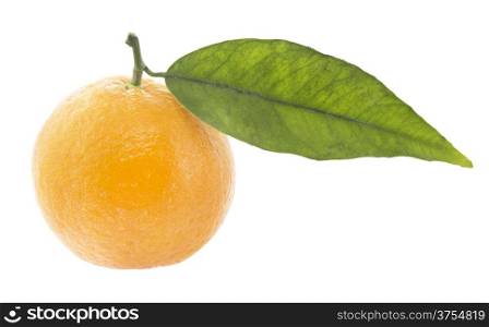 pile of Clementine Mandarin Oranges isolated on a white background (with clipping work path) . Clementine