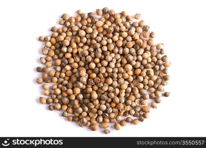 Pile of coriander close up on white background