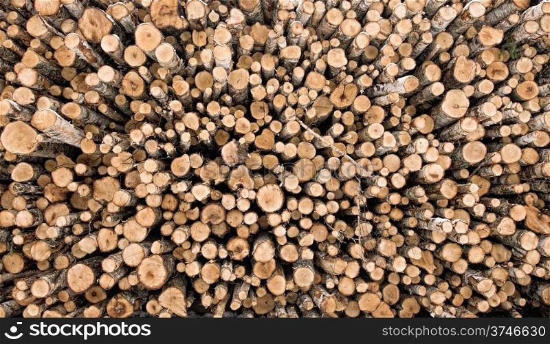 Pile of cut firewood, different sizes of birch logs.