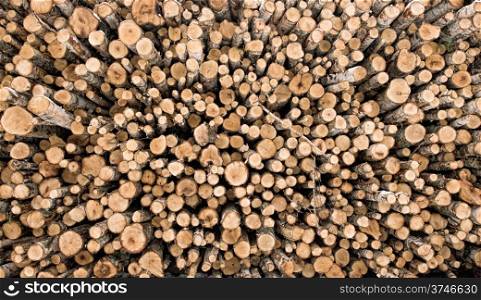 Pile of cut firewood, different sizes of birch logs.