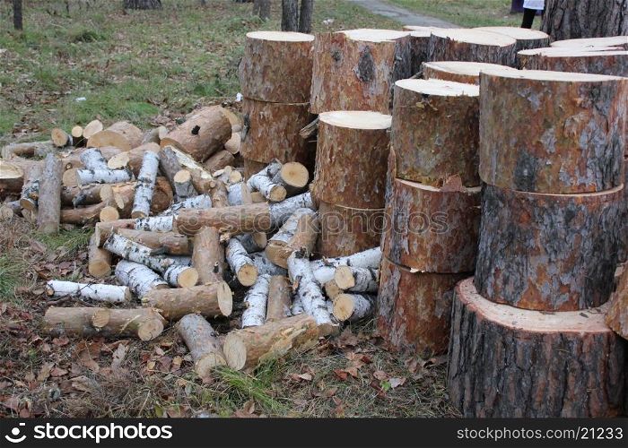 Pile of cut firewood in forest on grass 1306. Pile of cut wood 1306