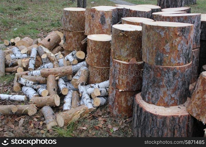 Pile of cut firewood in forest on grass 1307. Pile of cut wood 1307