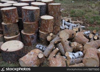 Pile of cut firewood in forest on grass 1309. Pile of cut wood 1309