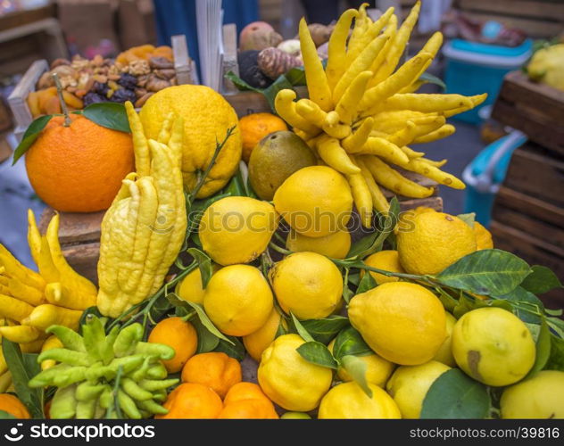 Pile of different citrus fruits, from oranges, lemons, mandarins and the strange shaped fingered citron (citrus medica scientific called). Picture taken at a market in Paris, France