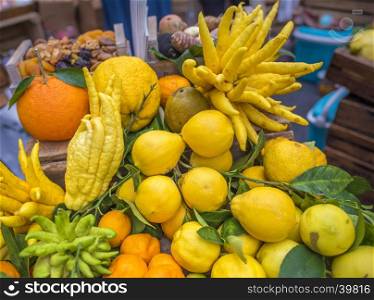 Pile of different citrus fruits, from oranges, lemons, mandarins and the strange shaped fingered citron (citrus medica scientific called). Picture taken at a market in Paris, France