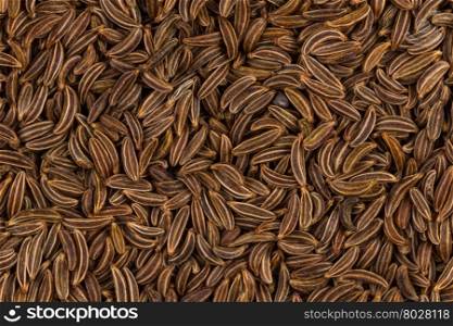 Pile of dry caraway seeds as a background