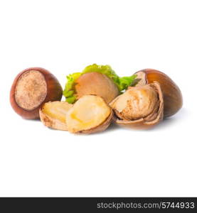 Pile of filbert nuts with green leaf isolated on white