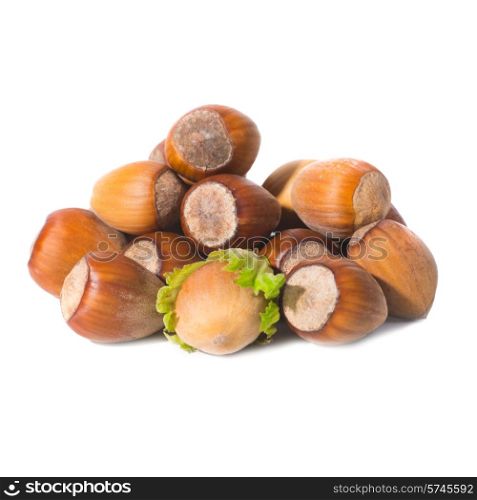 Pile of filbert nuts with green leaf isolated on white