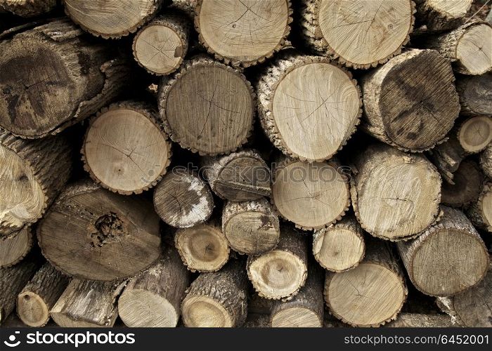 Pile of fire wood, background